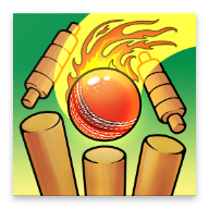 ��������(Cricket Bowling)