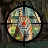 ɭ�ֶ��������