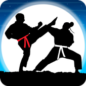 Ӱ�ӿ��ֵ���ʦս��(Karate Fighter)