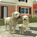 ���й���ģ������(Dog Sim)