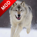 �ǹ�ģ����(Wolf Dog Simulator)