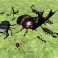 ����ս��ģ����3D(Bug Battle Simulator)