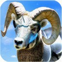 ɳ����ģ����