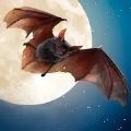 ��Ѫ����ģ����3D(Wild Bat Simulator 3D)