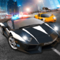 �ҵļ�ʻ����(DrivingCareer)