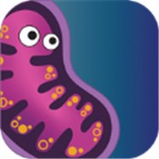 �ϲ��������(Infinite Evolution)