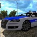 ����ľ�����ʻ(Thief Real Police Cop Simulator)