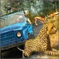 Ұ����������(Wild Animals Hunting Safari Shoo)
