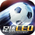 ����CEO
