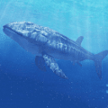 ������������(Leedsichthys Simulator)