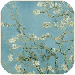 ��΢����