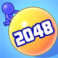 2048���������