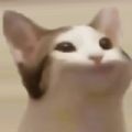 popcat.click