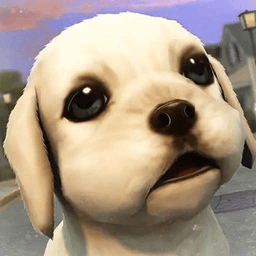 ����С���󴳹�