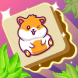 ��ש����������(Match Animal 3D)