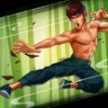 �湦��ս(Kung Fu Attack Final)