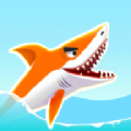sharkrun