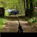 ����Ұ��(Cazando jabalis)