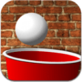 ƹ��Ͷ������(BeerPongTricks)