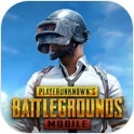 ��ƽ��Ӣ(���ʷ�)�ֻ���(PUBG MOBILE)