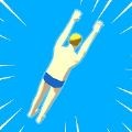 ��������ˮ(the perfect dive)