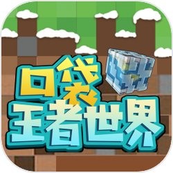 �ڴ���������