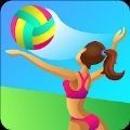 3D������(Volleyball Master)