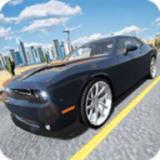 ���⳵��ս��(Muscle Car Challenger)