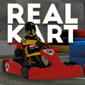 ��ʵ��������
