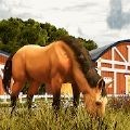 ��������������(Horse Racing Game)