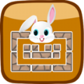 ��������(Rabbit Cave)