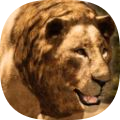 ʨ��ģ����