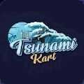 ��Х������(Tsunami kart)