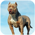 ����Ȯģ����(Pitbull Dog Simulator)