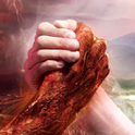 ��ʬ������(ZombieRush_Extinction)
