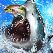 ���㾺����(Fishing Rivals)