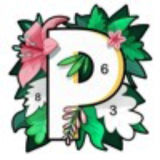 ����С����