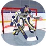 �������������3D(HockeyStars3D)