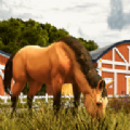 ��������(Horse Jumping)