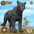 ��ɫ���ޱ�(Black Panther)