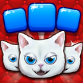 �ʼ�ƴͼ����֮��(Royal Puzzle)