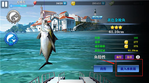 ���������޽��