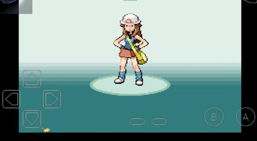 �ڴ������ں�ά��