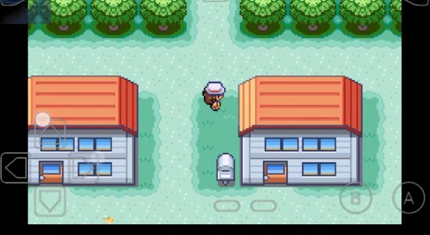 �ڴ������ں�ά��