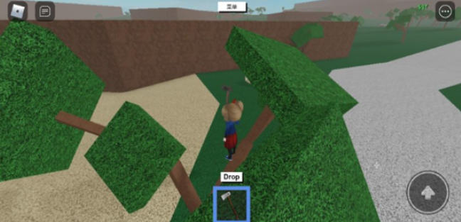 roblox国际服