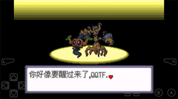���鱦������������