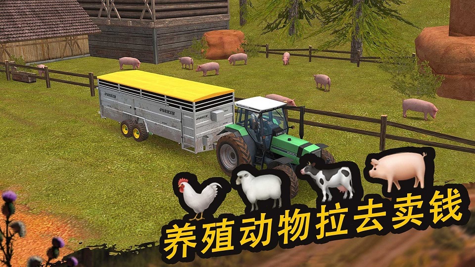 ũ����Ӣ