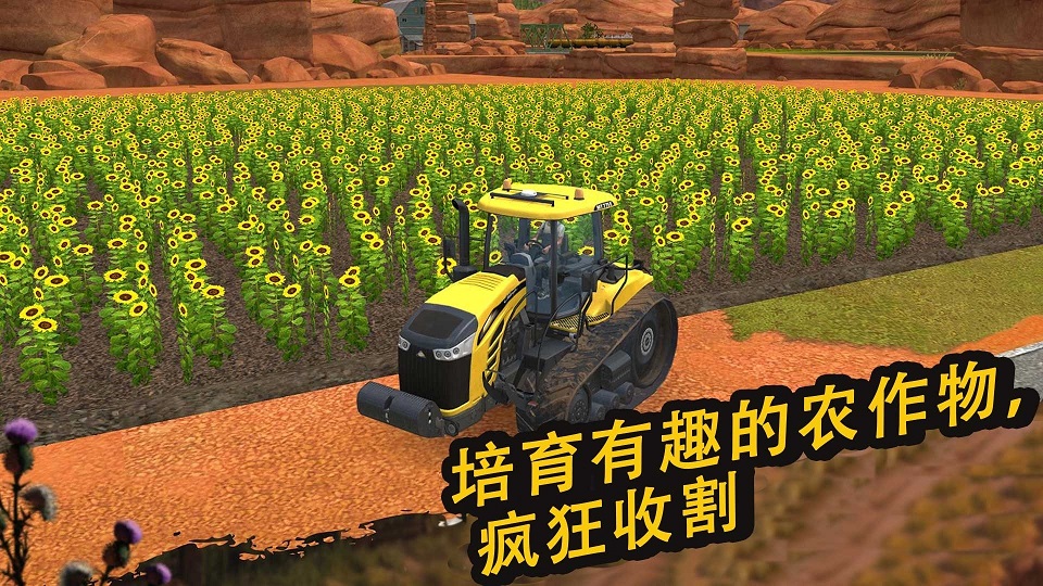 ũ����Ӣ