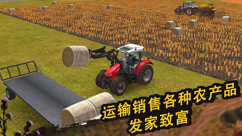 ũ����Ӣ