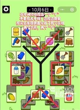 ���˸����°汾